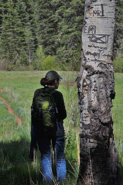 The Priest Gulch Trail
